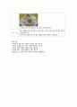 영유아기 급식관리의 의의 및 필요성과 실제 8페이지
