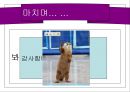 유비쿼터스 컴퓨팅.ppt 11페이지