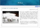 노키아 기업실패사례 21페이지