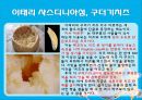 세계의 다양한 문화 - 문화의 다양성 사례조사.pptx 8페이지