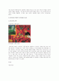 앙리마티스(Henri Matisse)의 생애와 앙리마티스의 작품 감상 - 앙라마티스의 생애, 시대적 배경, 앙리마티스 작품의 특성, 작품 감상 6페이지