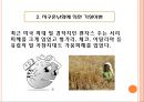 꼬리에 꼬리를 무는 애그플레이션 (식량자원 종류, 애그플레이션 조사) 12페이지