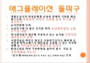 꼬리에 꼬리를 무는 애그플레이션 (식량자원 종류, 애그플레이션 조사) 19페이지