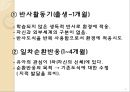 Jean Piaget의 인지발달이론 9페이지