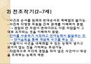 Jean Piaget의 인지발달이론 13페이지