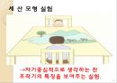 Jean Piaget의 인지발달이론 15페이지