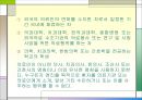 의사 면허 제도 9페이지