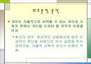 의사 면허 제도 12페이지