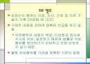 의사 면허 제도 19페이지