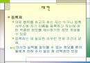 의사 면허 제도 21페이지