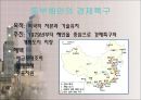 중국의 지역격차  13페이지