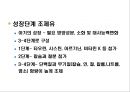 조제유  4페이지