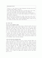 제가 한류 열풍에 대하여 3페이지