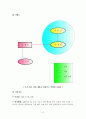  클라이언트 개입 프로그램 4페이지