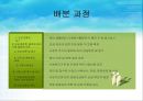 사회복지 예산관리 31페이지