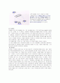 조명 4페이지