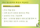 정신 보건 25페이지