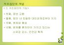 정신 보건 41페이지