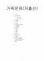 가족문제(저출산) 1페이지