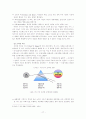  사회복지관리 일반이론 17페이지
