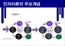 정신분석이론과 인지이론  55페이지
