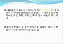 르네상스 시대 (초,중, 후기 시대) 예술가.pptx 17페이지