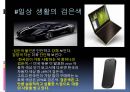 검정색 (Black Color).pptx 12페이지