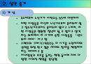 성인기 (생애과정, 초기성인기, 성인중기, 성인기부적응, 사회복지실천적용).PPT자료 11페이지