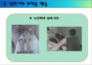 성인기 (생애과정, 초기성인기, 성인중기, 성인기부적응, 사회복지실천적용).PPT자료 19페이지