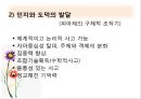 유아기 아동기(생애과정, 발달, 부적응, 사회복지실천).PPT자료 28페이지