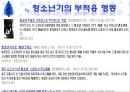 청소년기 _생애주기, 청소년기발달, 전기, 후기, 부적응, 사회복지실천.pptx 13페이지