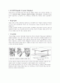 lcd 1페이지