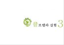 클로렐라 13페이지