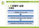 클로렐라 14페이지