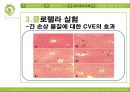 클로렐라 23페이지