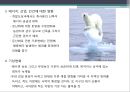 CCS(Carbon capture and storage)의 현황 및 중요성  5페이지