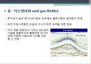 CCS(Carbon capture and storage)의 현황 및 중요성  12페이지