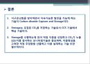 CCS(Carbon capture and storage)의 현황 및 중요성  22페이지
