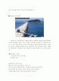기하학의 세계 [위상수학, 한붓 그리기, 오일러 정리, 프랙탈 정의] 7페이지