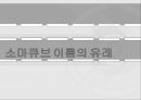 소마 큐브 9페이지
