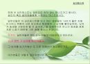 한붓그리기 & 심리테스트  13페이지