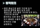 일상 생활 속의 논리  2페이지