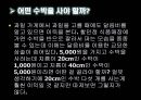 일상 생활 속의 논리  31페이지