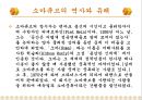 소마큐브  2페이지