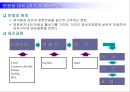 염료 화학 공업  13페이지
