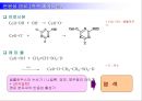 염료 화학 공업  14페이지