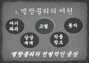 보들레르의 멜랑콜리.ppt 2페이지