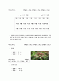 수경 재배  ( 상 추 ) 9페이지
