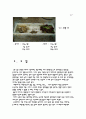 수경 재배  ( 상 추 ) 11페이지