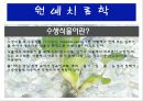 수생식물(수중식물).ppt 2페이지